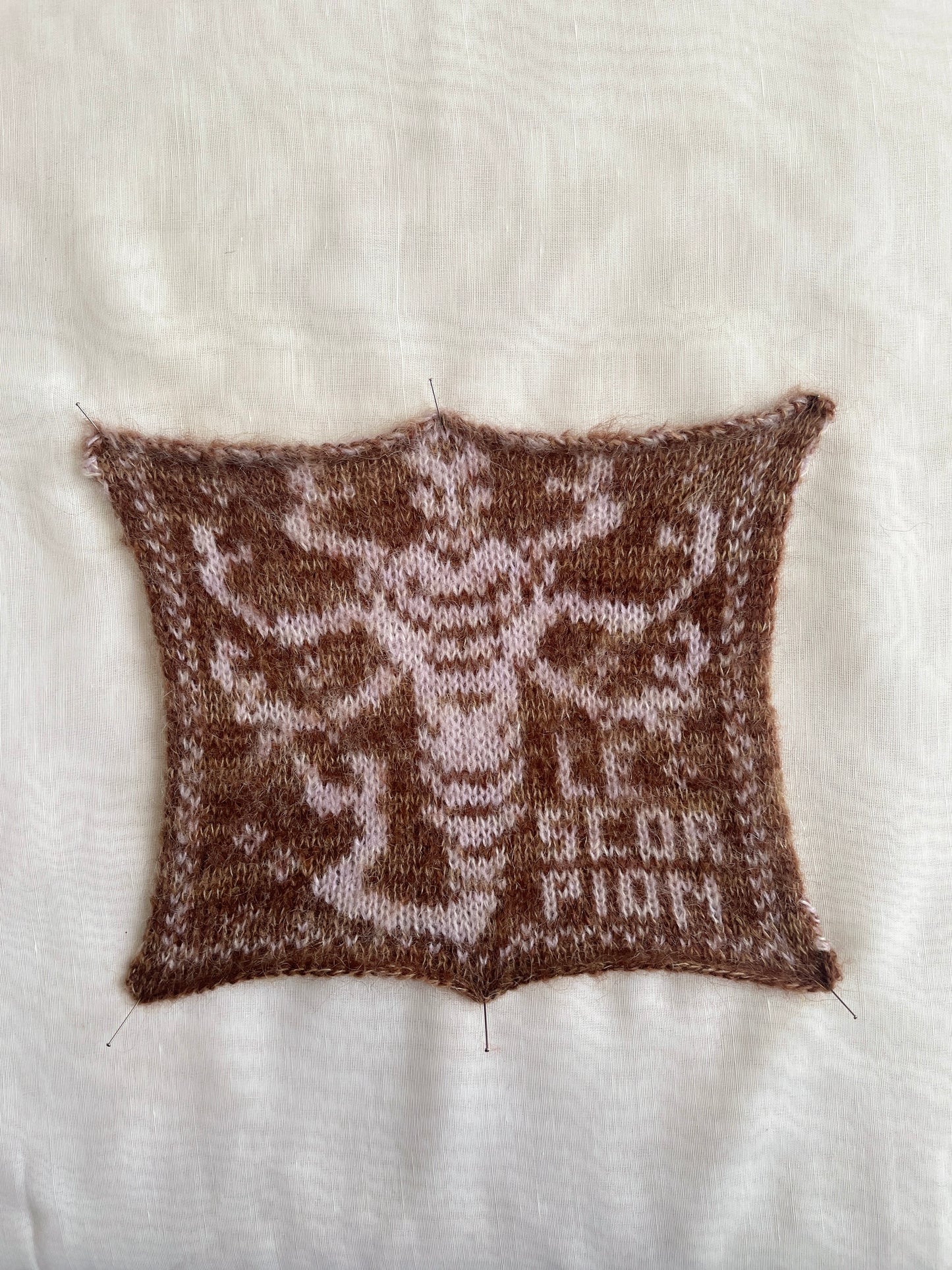 Zodiac Balaclava
